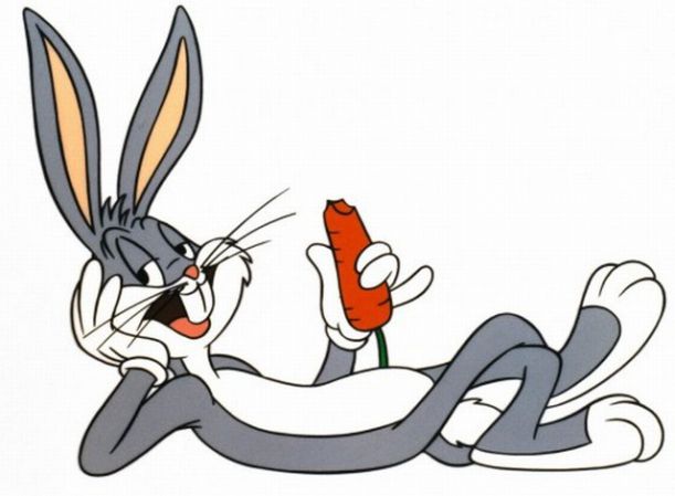 bugs