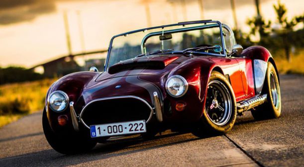 cobra