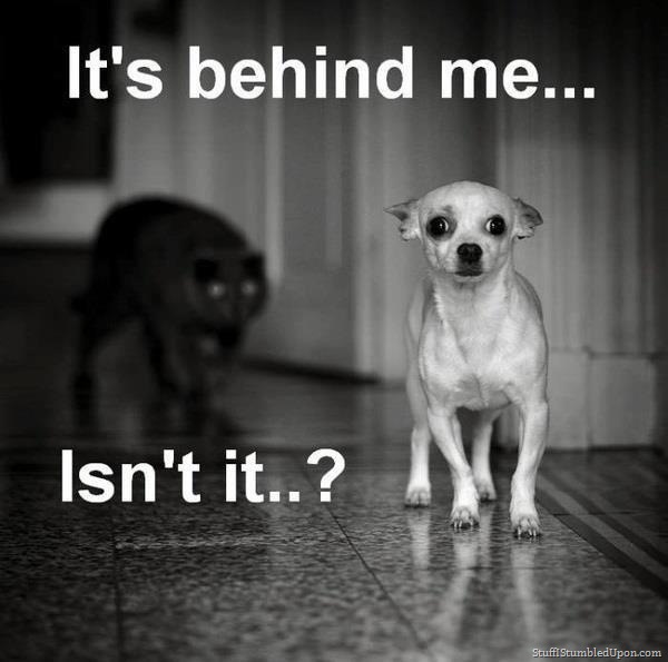 scared