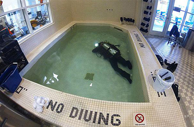 no diving
