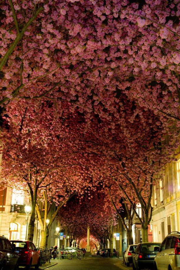 unbelievable-places-6-682x1024