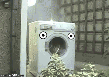 washingup