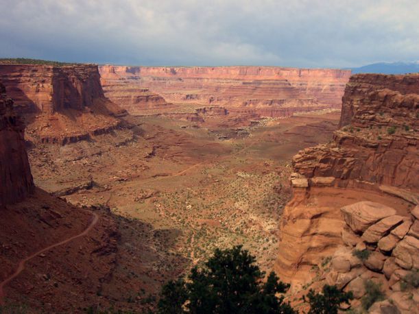 white-rim-road-canyonlands-national-park-utah