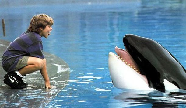 willy