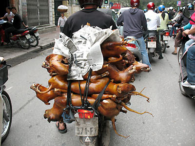 dog-meat