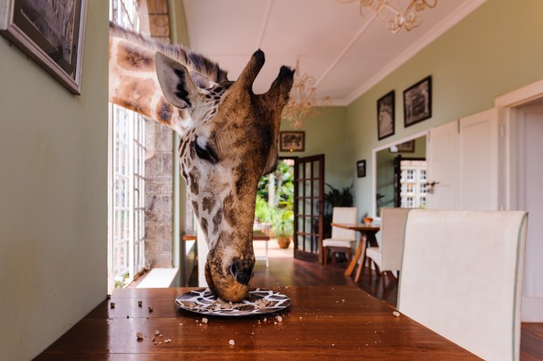 Don´t leave any food on your plate