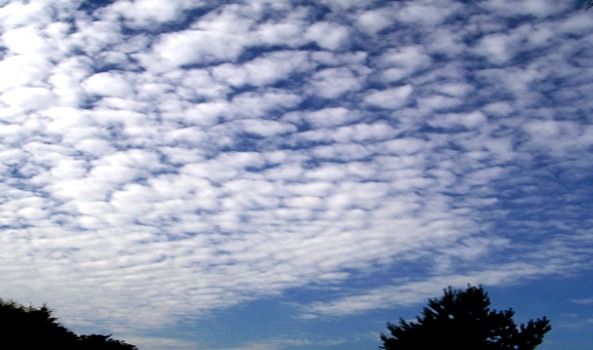 altostratus