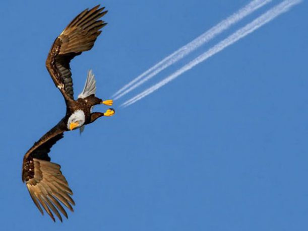 CHEMTRAILS