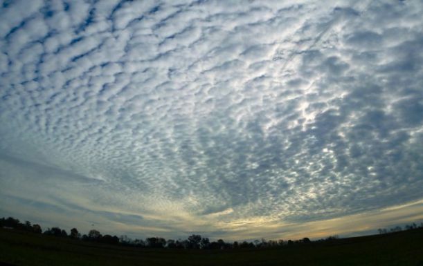 cirrocumulus
