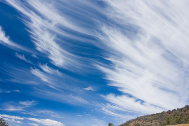 cirrus