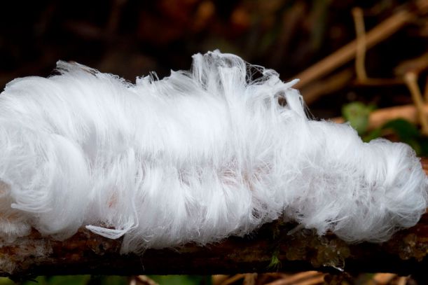 hair ice 1-20-2011