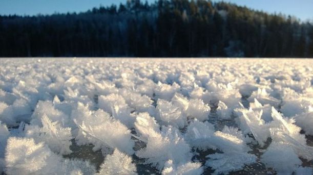 ice_flowers_05