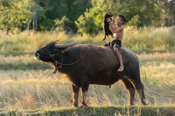 Kids24