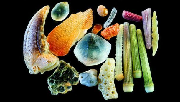 sand-grains-under-microscope-by-gary-greenberg-6