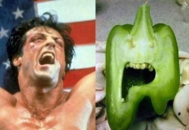 vegetables_that_are_desperately_trying_to_be_something_else_640_03