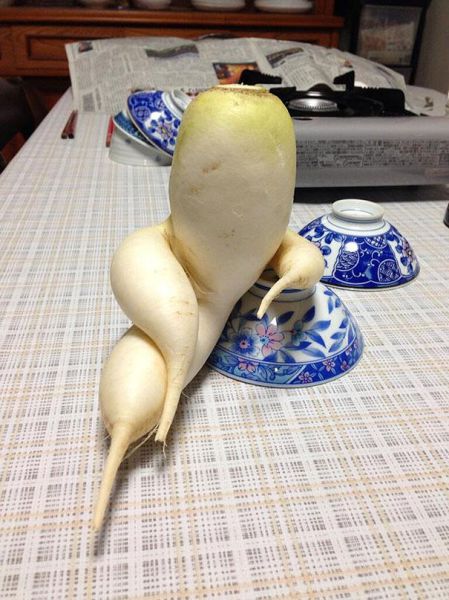 vegetables_that_are_desperately_trying_to_be_something_else_640_06
