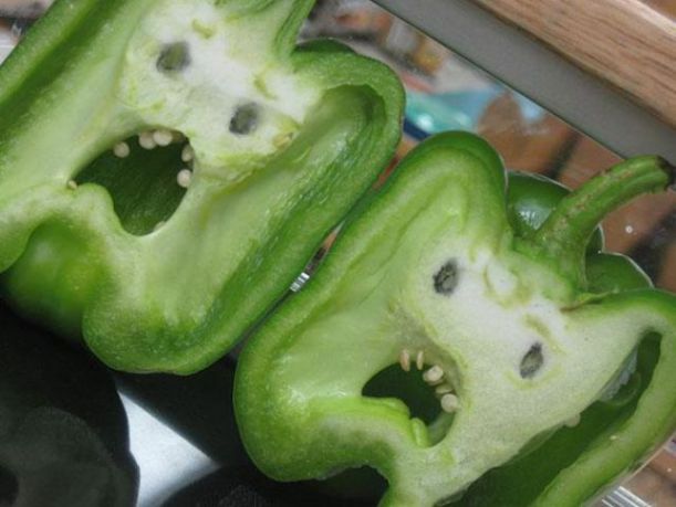 vegetables_that_are_desperately_trying_to_be_something_else_640_07