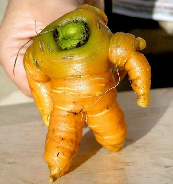 vegetables_that_are_desperately_trying_to_be_something_else_640_09