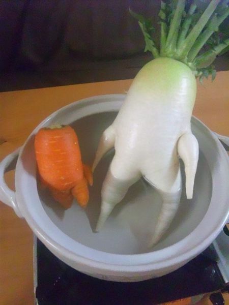 vegetables_that_are_desperately_trying_to_be_something_else_640_11