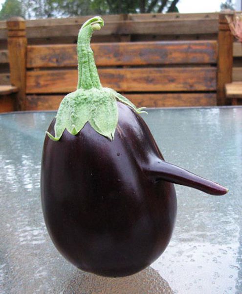 vegetables_that_are_desperately_trying_to_be_something_else_640_15