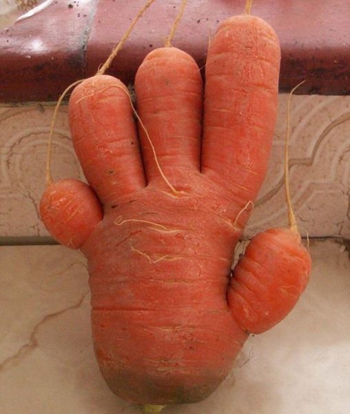 vegetables_that_are_desperately_trying_to_be_something_else_640_30
