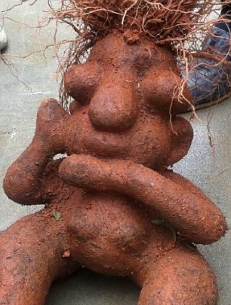 vegetables_that_are_desperately_trying_to_be_something_else_640_31