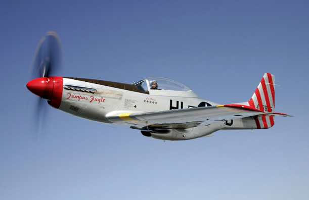 4_Mustang