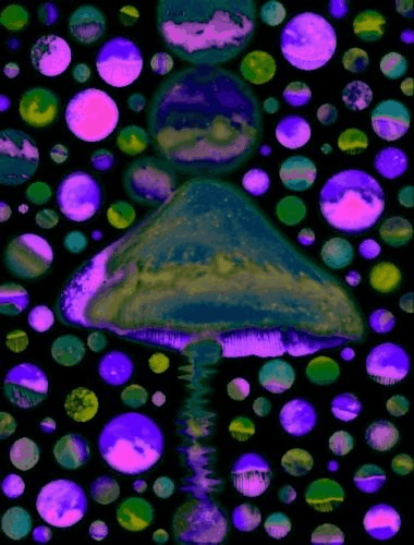 tumblr_mahjk9JGGr1rr86mho1_400