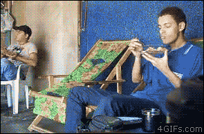 84371691