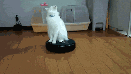 anigif_enhanced-buzz-18810-1405097767-21