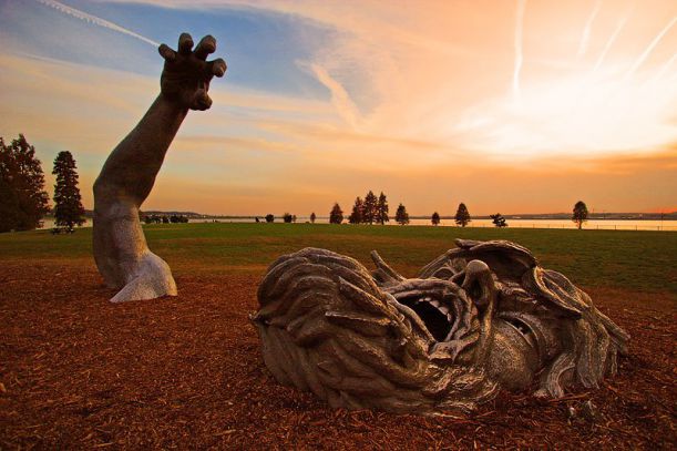 panoramio-com-awakening