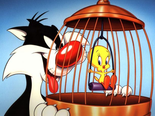 Tweety-desktopwallpapers-ru