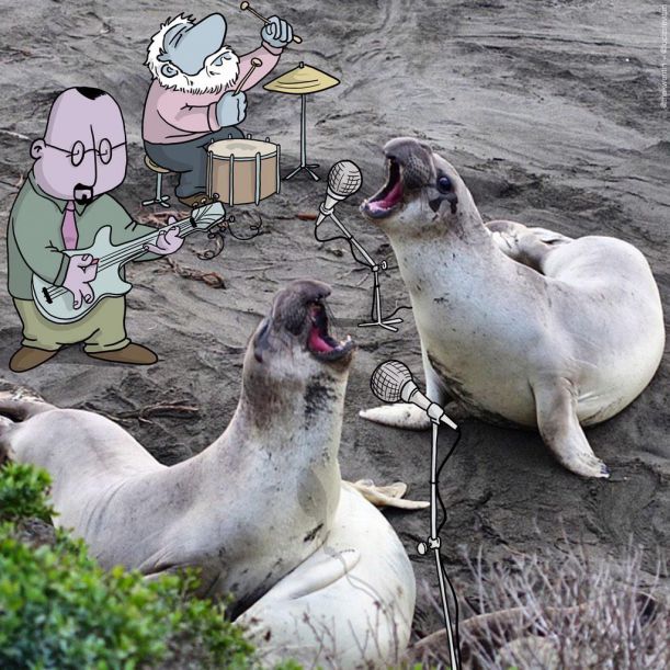 17 The Seals