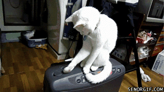 anigif_enhanced-buzz-1665-1380570974-3