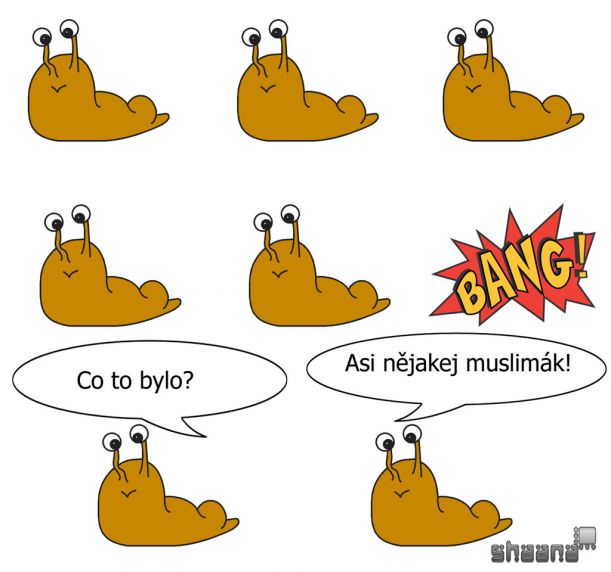 muslimak