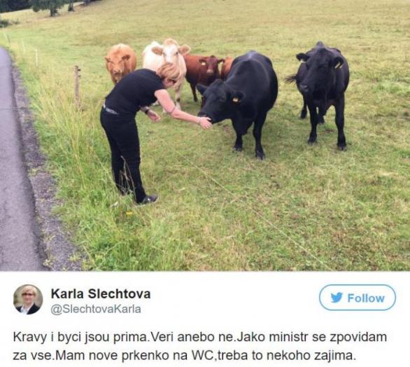 Ze zlatého fondu ministryně pro místní rozvoj. Kdyby to napsal Guillaume Apollinaire, učíme se o tom ve školách.