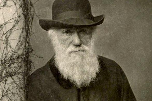 Charles Darwin se musí obracet v hrobě.