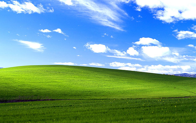 Ikonická tapeta z Windows