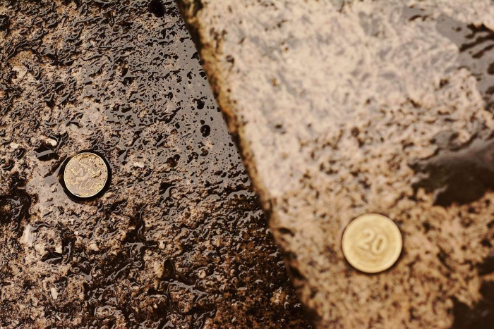 Díky hloubce ostrosti je důraz položen na českou dvacetikorunu