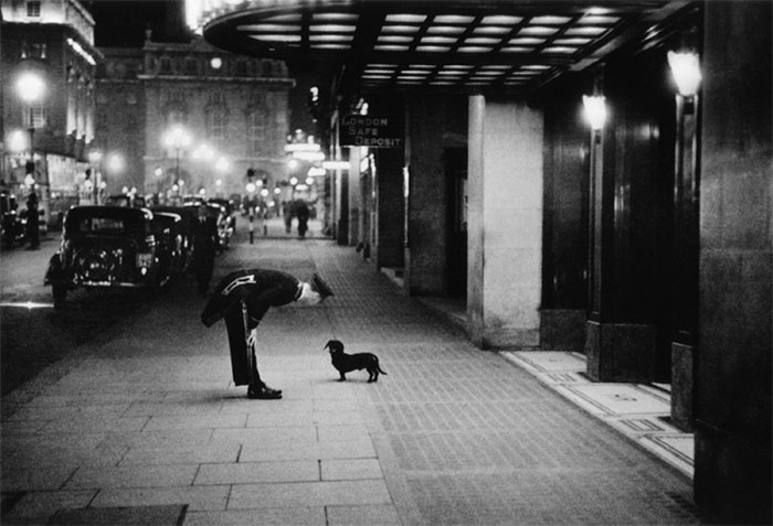 Rozhovor s jezevčíkem před hotelem na Piccadilly Circus v Londýně. 1938.