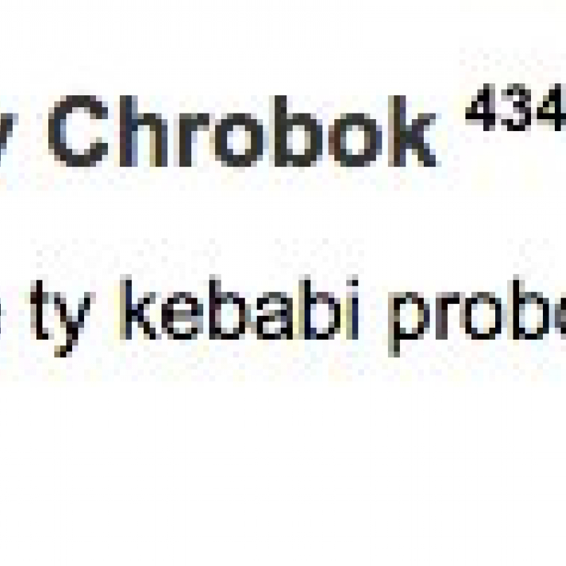 Názor českého vlastnce