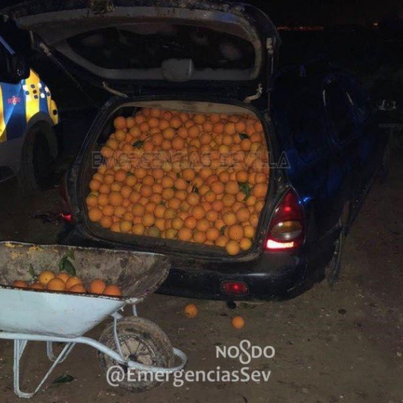 Ovoce bylo tolik, že při otevření dveří vozů padalo přímo na silnici.