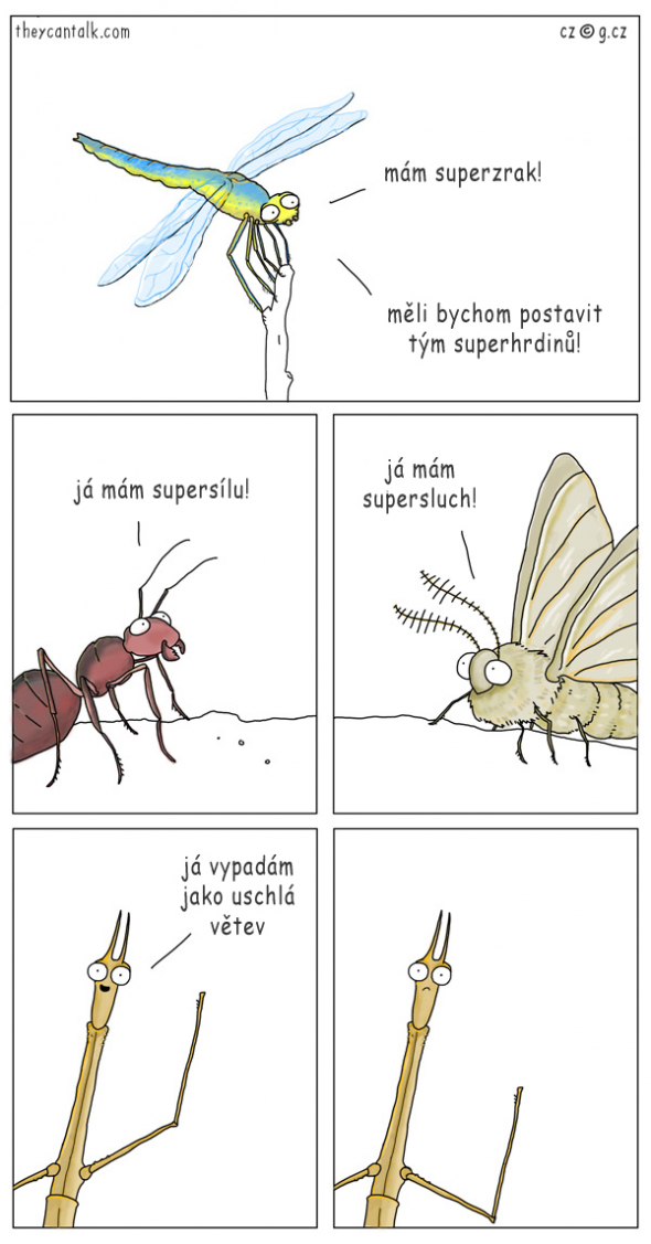 3)
