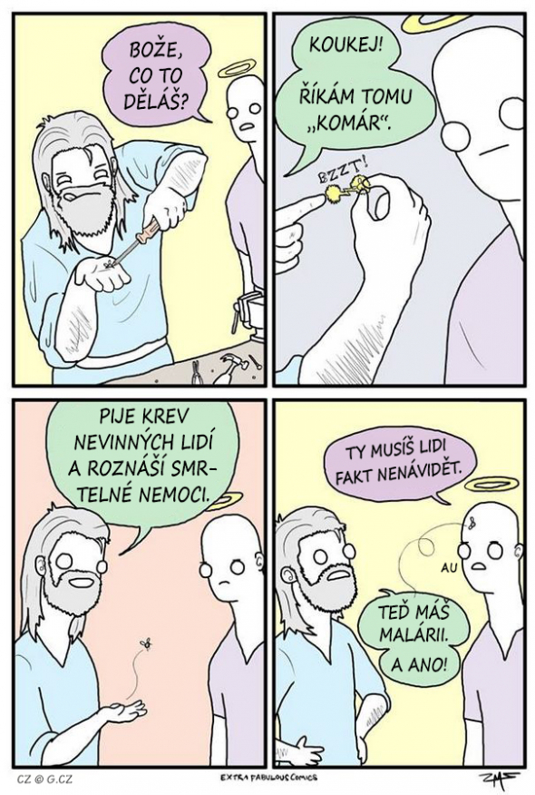 6. O původu druhů