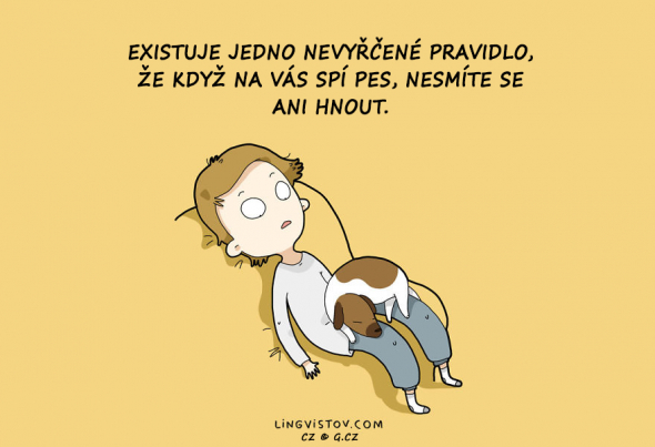 6. Ani hnout!