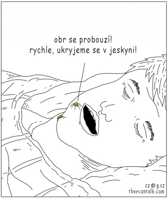 6)