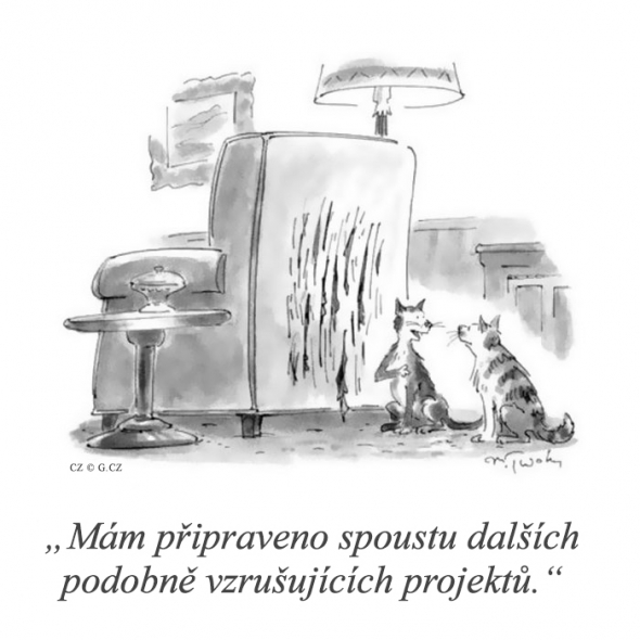11. Činorodý jedinec