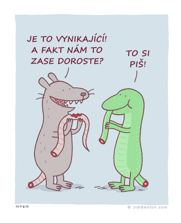 12. Fikané řešení