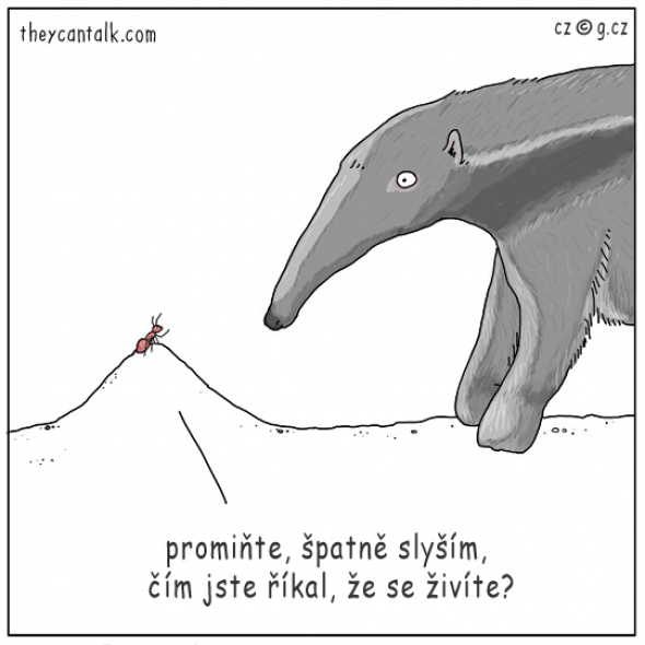 8)