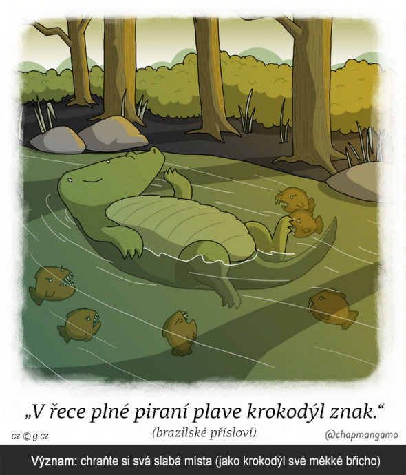 22. Jak proplout bezpečně životem